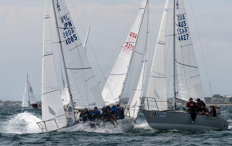 Fox, Haywire and Amuse bouche during the 2026 J/24 Hodges Sandringham Australian Championship - photo © Marg's Yacht Photos
