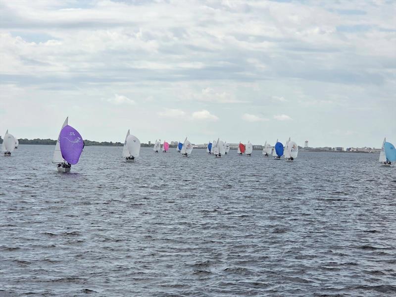2026 J/24 Midwinter Championship day 3 photo copyright USA J/24 Class Association taken at Florida Yacht Club and featuring the J/24 class