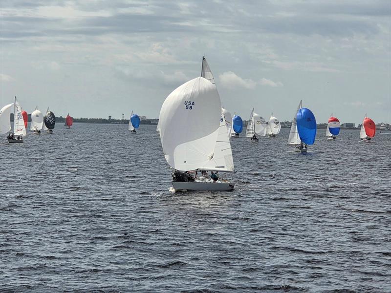 2026 J/24 Midwinter Championship day 3 photo copyright USA J/24 Class Association taken at Florida Yacht Club and featuring the J/24 class