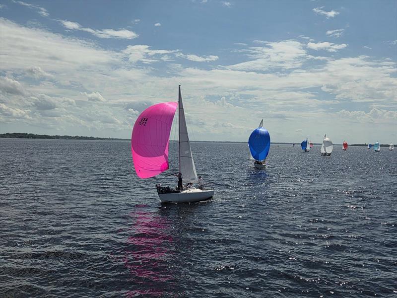 2026 J/24 Midwinter Championship day 3 photo copyright USA J/24 Class Association taken at Florida Yacht Club and featuring the J/24 class