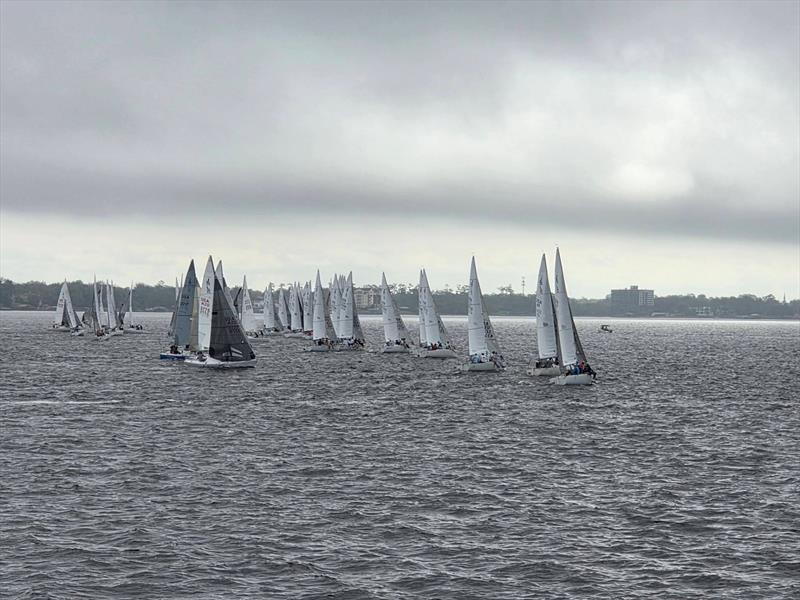 2026 J/24 Midwinter Championship day 3 photo copyright USA J/24 Class Association taken at Florida Yacht Club and featuring the J/24 class
