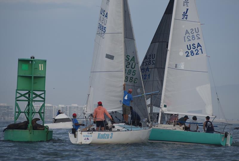 San Diego YC Cold Rum Regatta series final day - photo © Bob Betancourt
