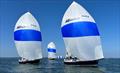 2023 American YC Fall Series © Annapolis Yacht Club