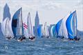 2019 J70 North American Championship - Final Day © Tim Wilkes