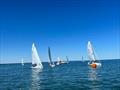 2022 J/70 Corinthian National Championship © USA J/70 Class Association