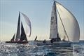 39° Primo Cup 2023 © Alexander Panzeri