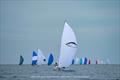 2023 J/70 North American Championship day 1 © Hannah Lee Noll