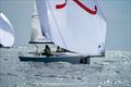 2023 J/70 North American Championship © Hannah Lee Noll