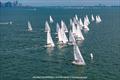 J/70: Thirty-five teams battle it out on Biscayne Bay - Bacardi Winter Series Event 2 © Hannah Lee Noll