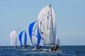 2024 Mirpuri Foundation Sailing Trophy © Mirpuri Foundation