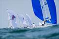 &copy; Neuza Aires Pereira / Clube Naval de Cascais
