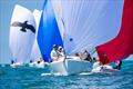 &copy; Neuza Aires Pereira / Clube Naval de Cascais