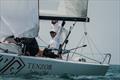 &copy; TenzorSailingClub media