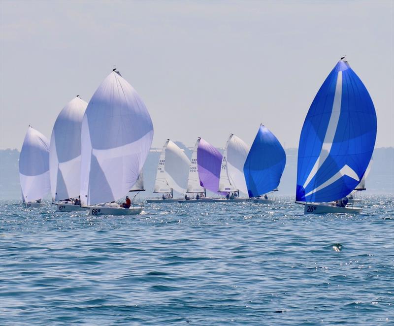 J/70 UK Class National Championships 2019 photo copyright Louay Habib taken at Royal Torbay Yacht Club and featuring the J70 class