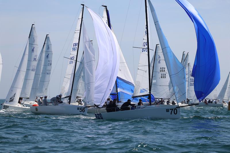 J/70 UK Class National Championships 2019 photo copyright Louay Habib taken at Royal Torbay Yacht Club and featuring the J70 class
