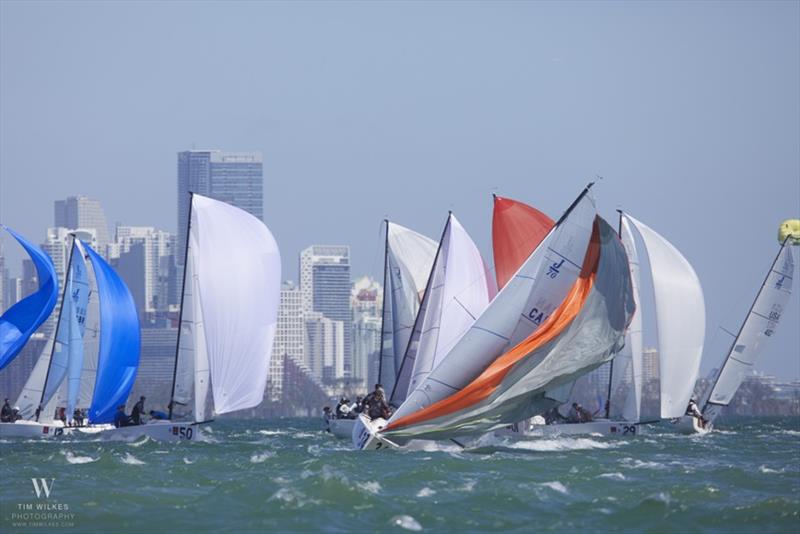 Bacardi Cup Invitational Regatta photo copyright Tim Wilkes taken at Coconut Grove Sailing Club and featuring the J70 class