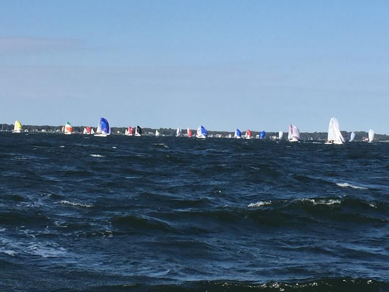 Downwind J/70 action on the Chesapeake Bay - photo © Keith Jacobs