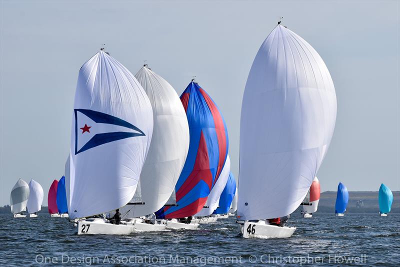 2018/2019 J 70 Winter Series photo copyright Christopher Howell taken at Davis Island Yacht Club and featuring the J70 class