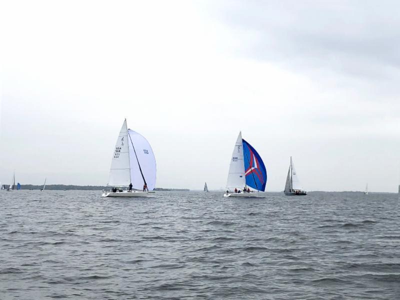 2019 Spring Series Regatta - photo © American Yacht Club