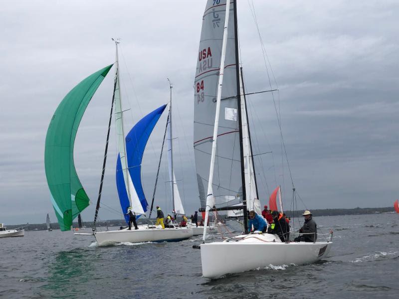 2019 Spring Series Regatta photo copyright American Yacht Club taken at  and featuring the J70 class