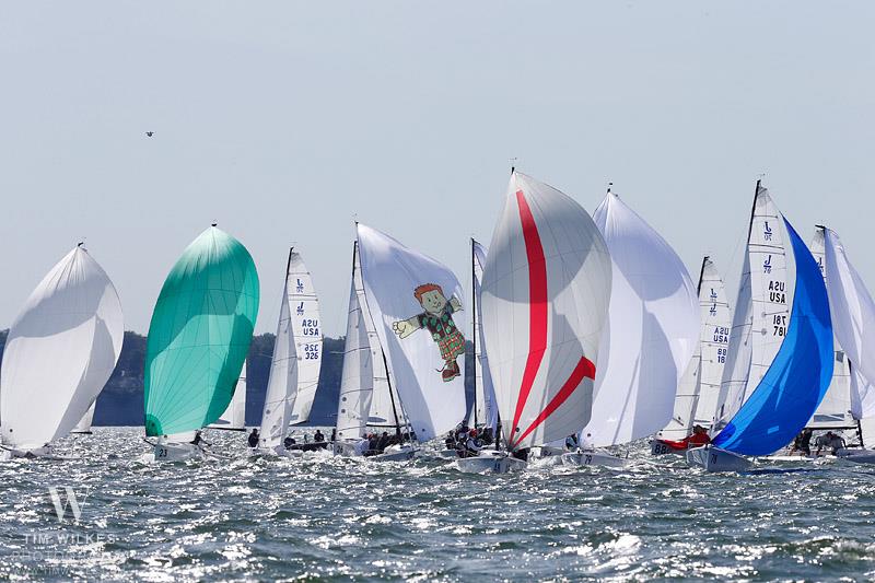 2019 J70 North American Championship - Day 3 photo copyright Tim Wilkes taken at Edgewater Yacht Club and featuring the J70 class