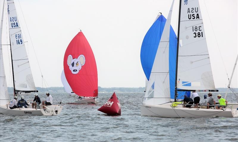 Empeiria (USA 169) currently leads the J/70 fleet - 2020 Helly Hansen NOOD Regatta Annapolis - Day 1 photo copyright Will Keyworth taken at Annapolis Yacht Club and featuring the J70 class