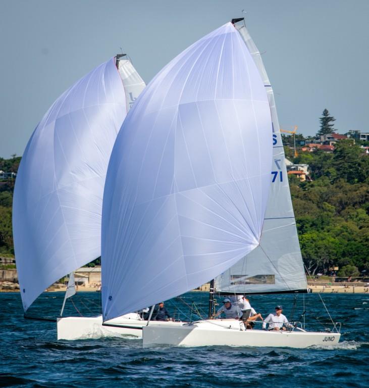 Juno and Celestial during the J/70 NSW State Championships on Sydney Harbour - photo © Ian Woodforth