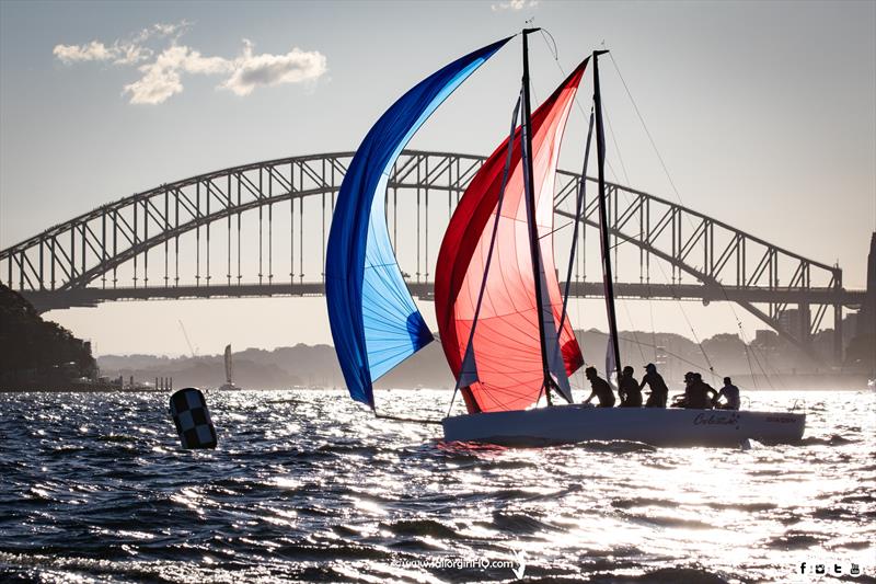 Tight finish between Celestial and Swish - J70 Australian Championship 2022 - photo © Nic Douglass @sailorgirlhq