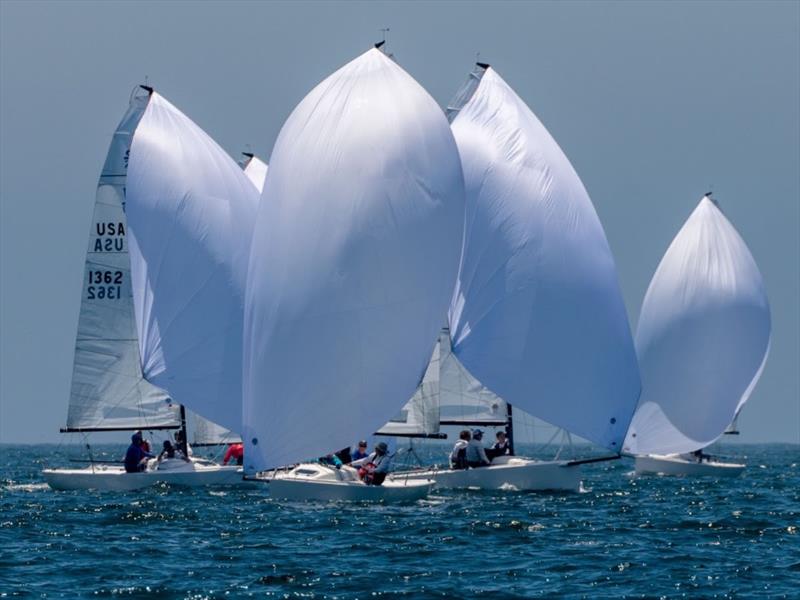 Ullman Sails Long Beach Race Week - Final day photo copyright Tom Walker taken at Long Beach Yacht Club and featuring the J70 class