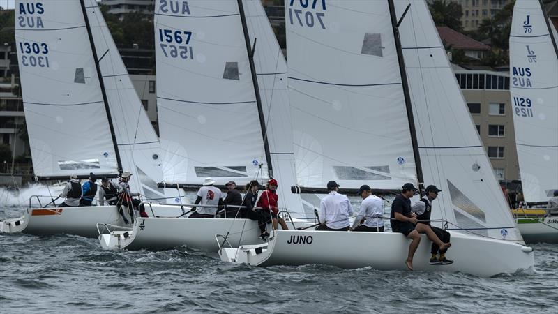 Highly competitive J70s off the start in 2022 - Sydney Harbour Regatta - photo © Marg Fraser-Martin