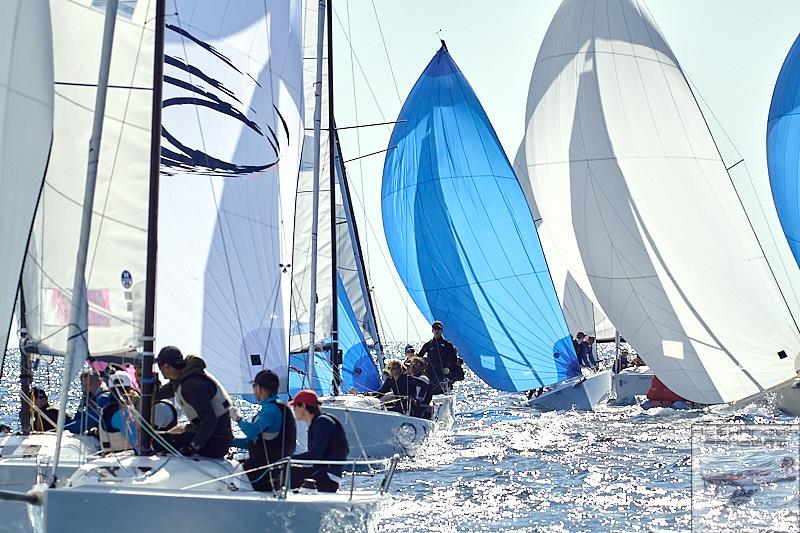 39° Primo Cup 2023 photo copyright Alexander Panzeri taken at Yacht Club de Monaco and featuring the J70 class