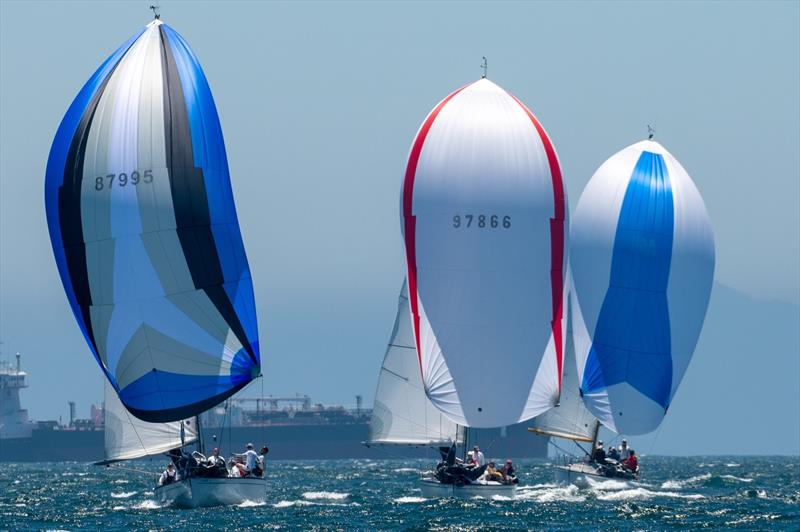 Ullman Sails Long Beach Race Week 2023 photo copyright Tom Walker taken at Long Beach Yacht Club and featuring the J70 class