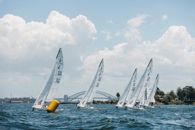 2024 J/70 NSW National Championship, day 1 - photo © Darcie Collington Photography