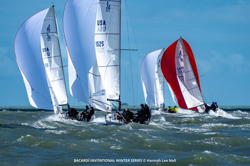 Bacardi Winter Series - Upping the pace downwind with the J/70 fleet photo copyright Hannah Lee Noll taken at Shake-A-Leg Miami and featuring the J70 class