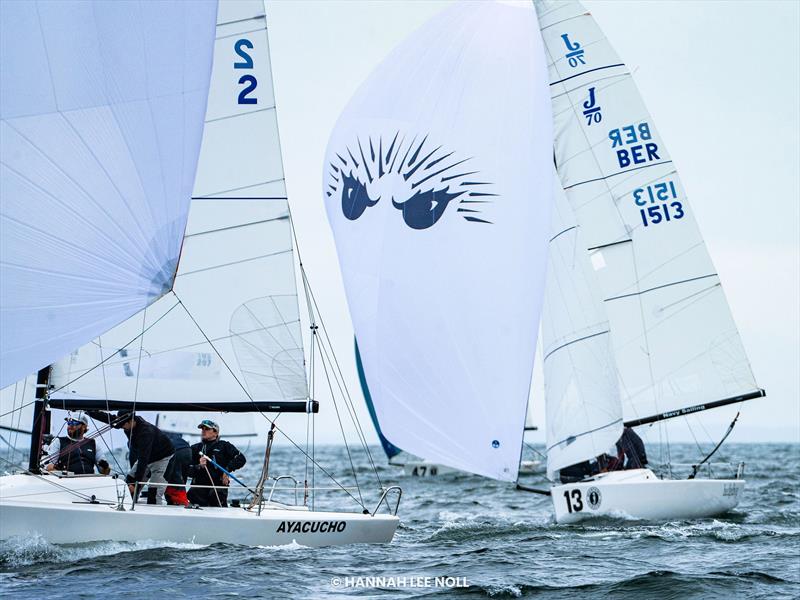 2025 J/70 Corinthian World Championship photo copyright Hannah Lee Noll taken at Eastern Yacht Club, Massachusetts and featuring the J70 class
