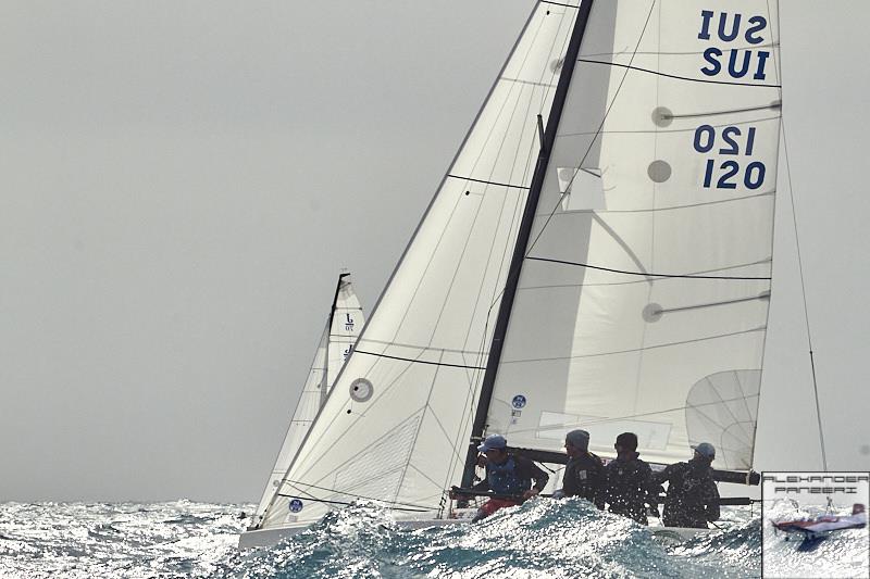 2026 Primo Cup - Day 1 photo copyright Alexander Panzeri taken at Yacht Club de Monaco and featuring the J70 class