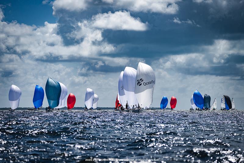 2026 J/70 Midwinter Championship - photo © Hannah Lee Noll