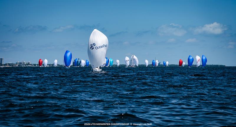 2026 J/70 Midwinter Championship photo copyright Hannah Lee Noll taken at Shake-A-Leg Miami and featuring the J70 class
