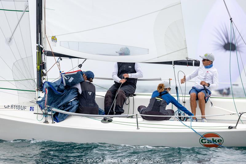 Scott Deardorff's Cake - J/70 U.S. National Championship 2026 at Santa Barbara Yacht Club - photo © Hannah Lee Noll