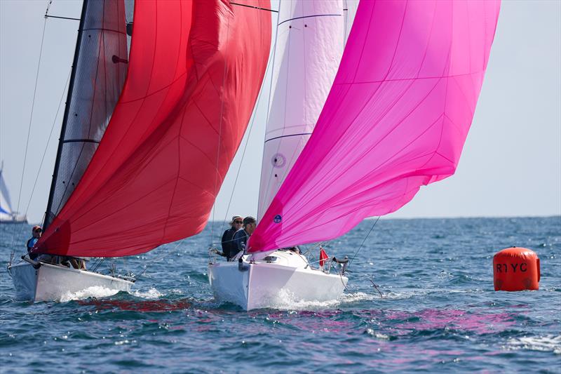 Torbay Royal Regatta 2026 - photo © Tania Hutchings / www.50northphotography.co.uk
