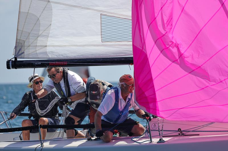 Torbay Royal Regatta 2026 - photo © Tania Hutchings / www.50northphotography.co.uk