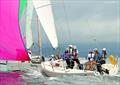 Leo Wealth Steering the Course Women's Sailing Festival
