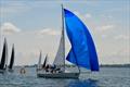 &copy; J/80 North American Class Association 