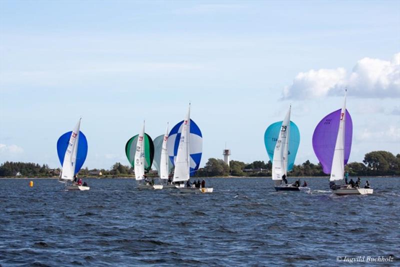 German J/80 Championship 2019 - photo © Ingvild Buchholz