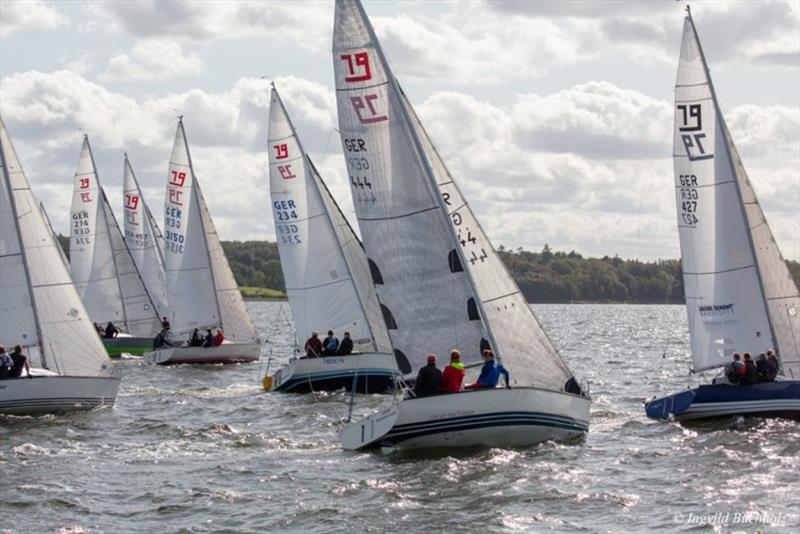 German J/80 Championship 2019 photo copyright Ingvild Buchholz taken at Flensburger Segel-Club and featuring the J80 class