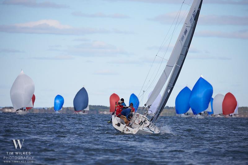 J/80 World Championship 2022 photo copyright Tim Wilkes taken at Sail Newport and featuring the J80 class