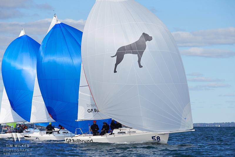 J/80 World Championship 2022 photo copyright Tim Wilkes taken at Sail Newport and featuring the J80 class