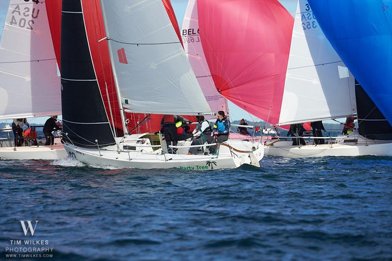 J/80 World Championship 2022 photo copyright Tim Wilkes taken at Sail Newport and featuring the J80 class