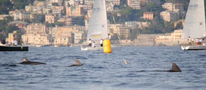 Italian J/80 Challenge Match Race photo copyright Italian J/80 class taken at  and featuring the J80 class