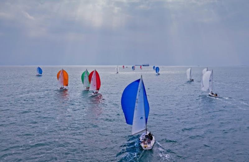 Hong Kong J/80 Championship photo copyright Panda Man / Takumi Images taken at Royal Hong Kong Yacht Club and featuring the J80 class